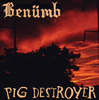 Pig Destroyer : Pig Destroyer - Benümb